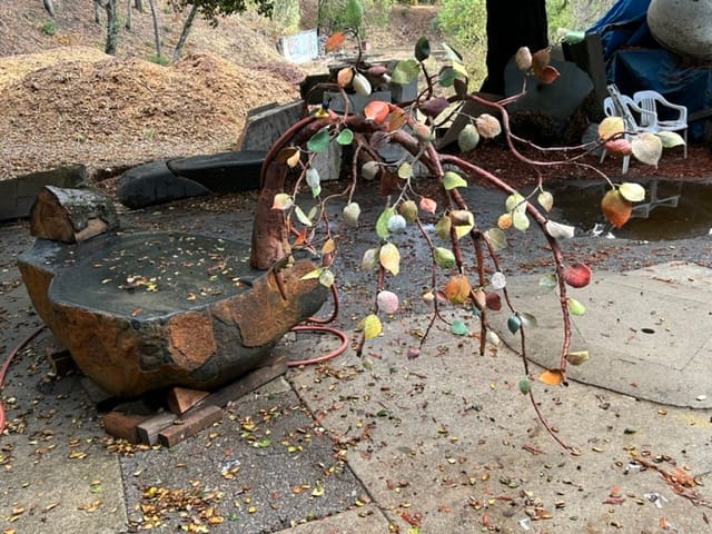 Raining Tree
